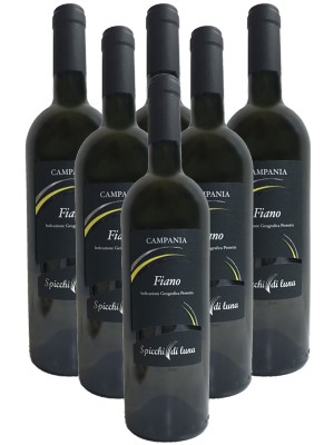 6x Campania Fiano igp