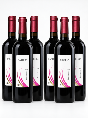 6x Barbera Beneventano 6x Barbera Beneventano