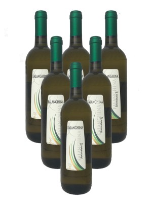 6x Falanghina Beneventano