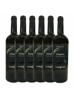 6x Campania Falanghina i.g.p