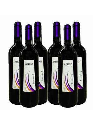 6x Merlot Beneventano 