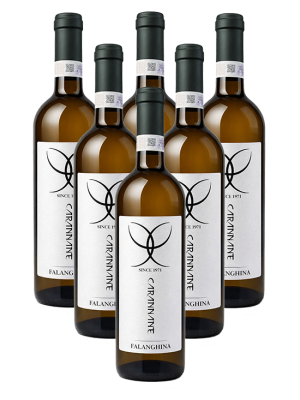 6x Falanghina Beneventano 6x Falanghina Beneventano